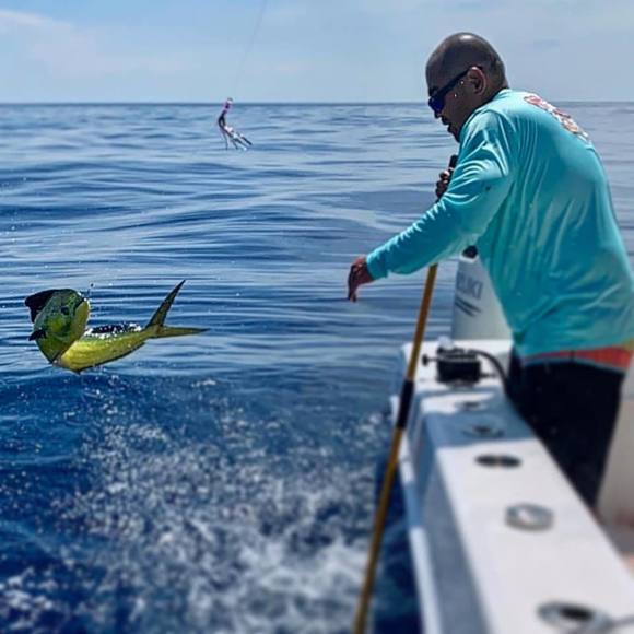 Meet your Posher, Cj - Picture 1 of 1